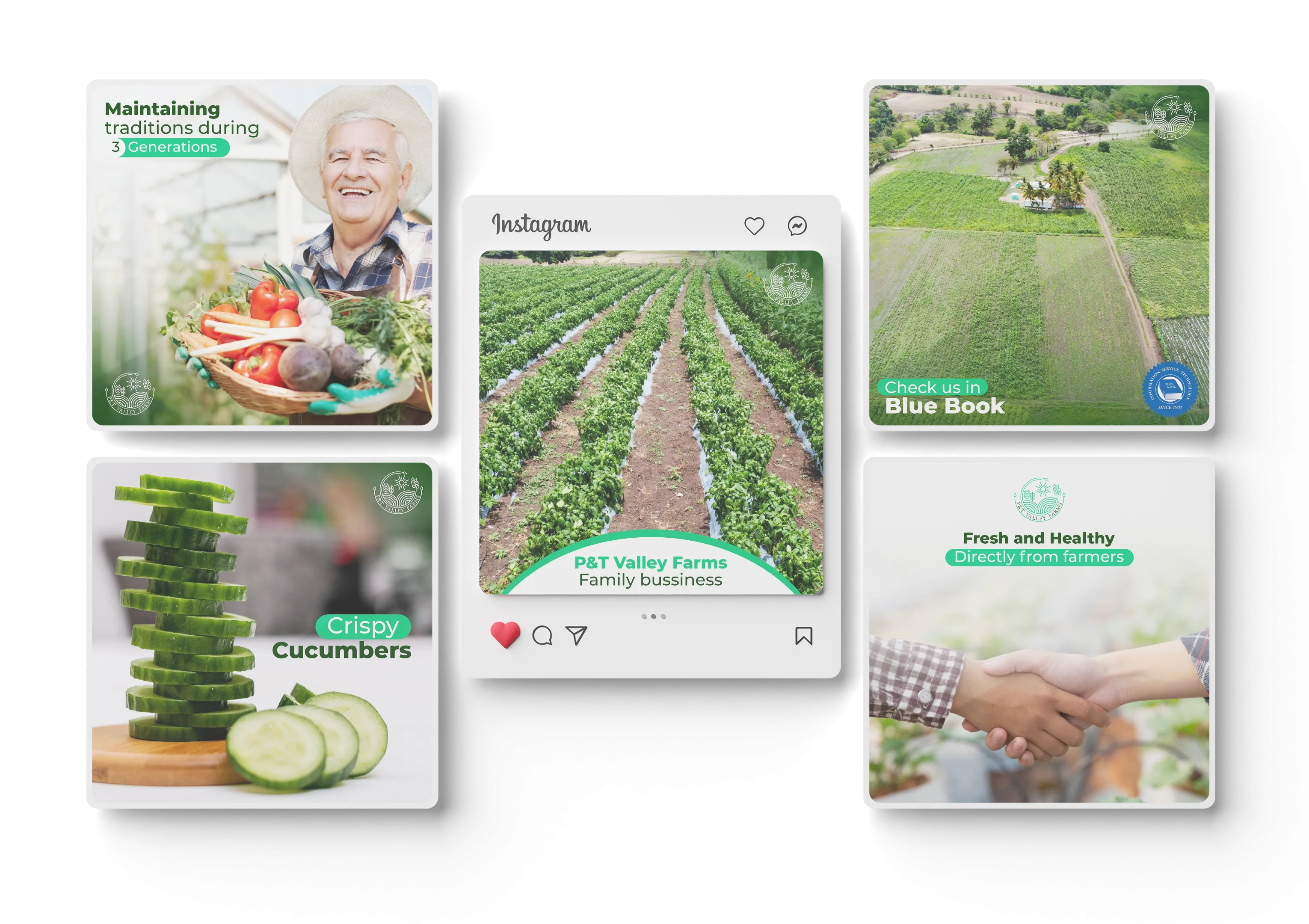 P&Amp;T Valley Farms - P&Amp;T Valley Farms - Yzzy Agency - Creative Agency - p&t valley farms - 2744 e1669068288226 - yzzy agency - digital agency