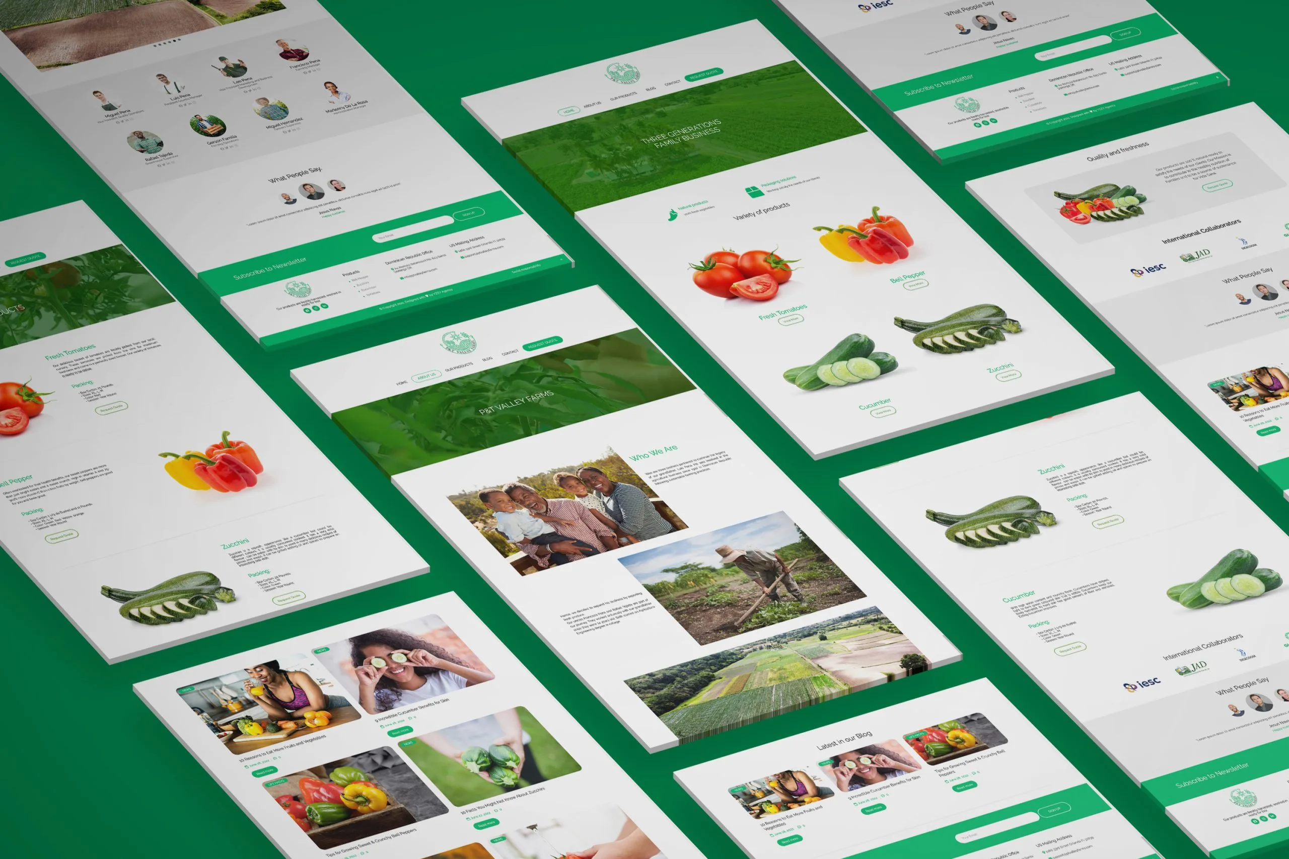 P&Amp;T Valley Farms - P&Amp;T Valley Farms - Yzzy Agency - Creative Agency - p&t valley farms - 389 1 scaled - yzzy agency - digital agency