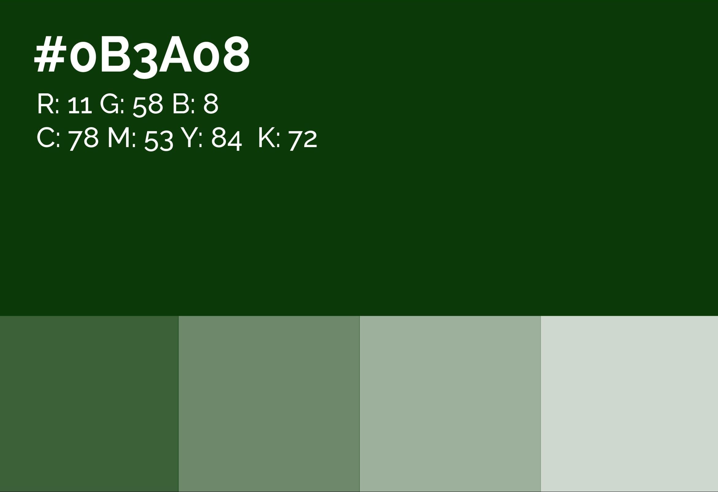 Color 2 | YZZY Agency | YZZY Agency