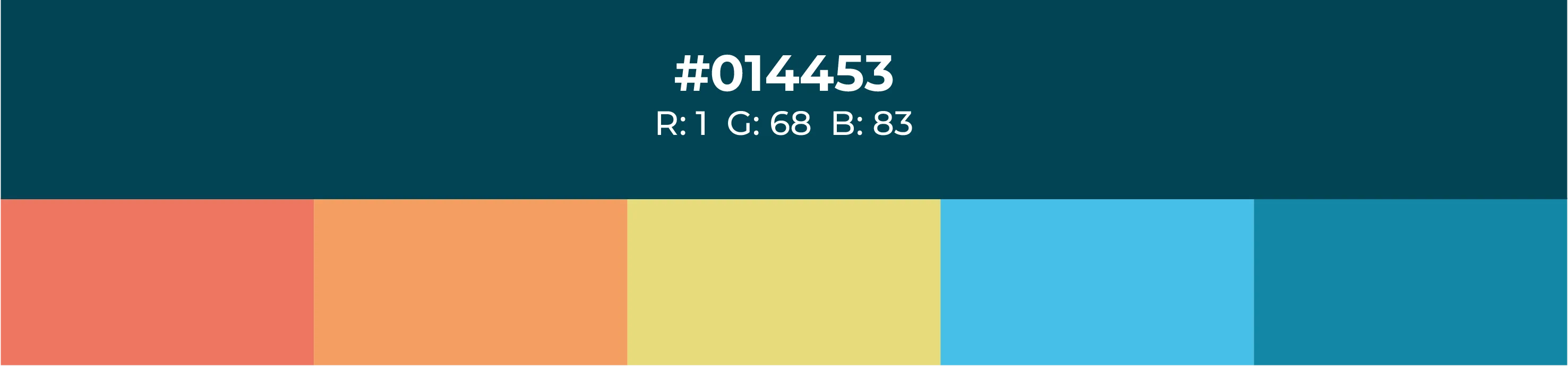 Bellamar - Bellamar - Ux/Ui - bellamar - color bellamar 02 - web design