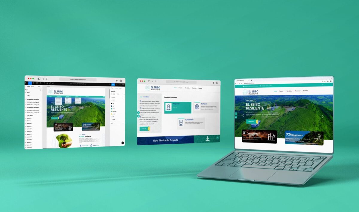 Portada el seibo resiliente