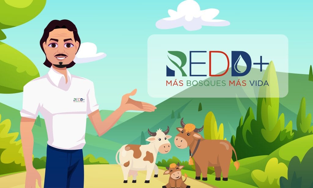 Works - Branding - Ux/Ui Motion graphics project redd+