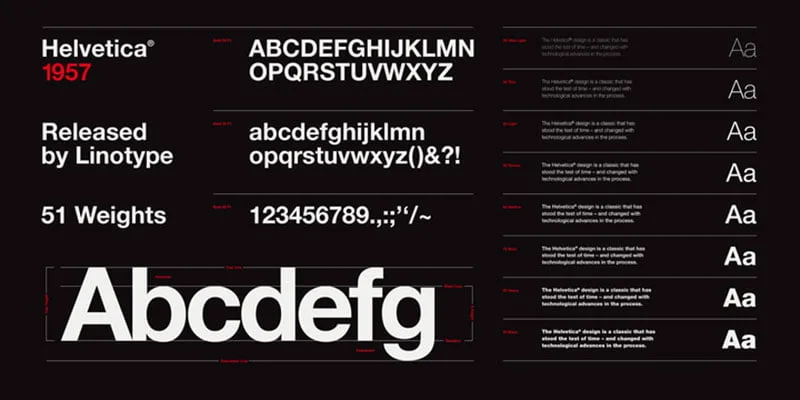 Typography Trends: What Fonts Are Dominating Web Design In 2024 - Typography Trends 2024 - Yzzy Agency - Branding Netflix font example