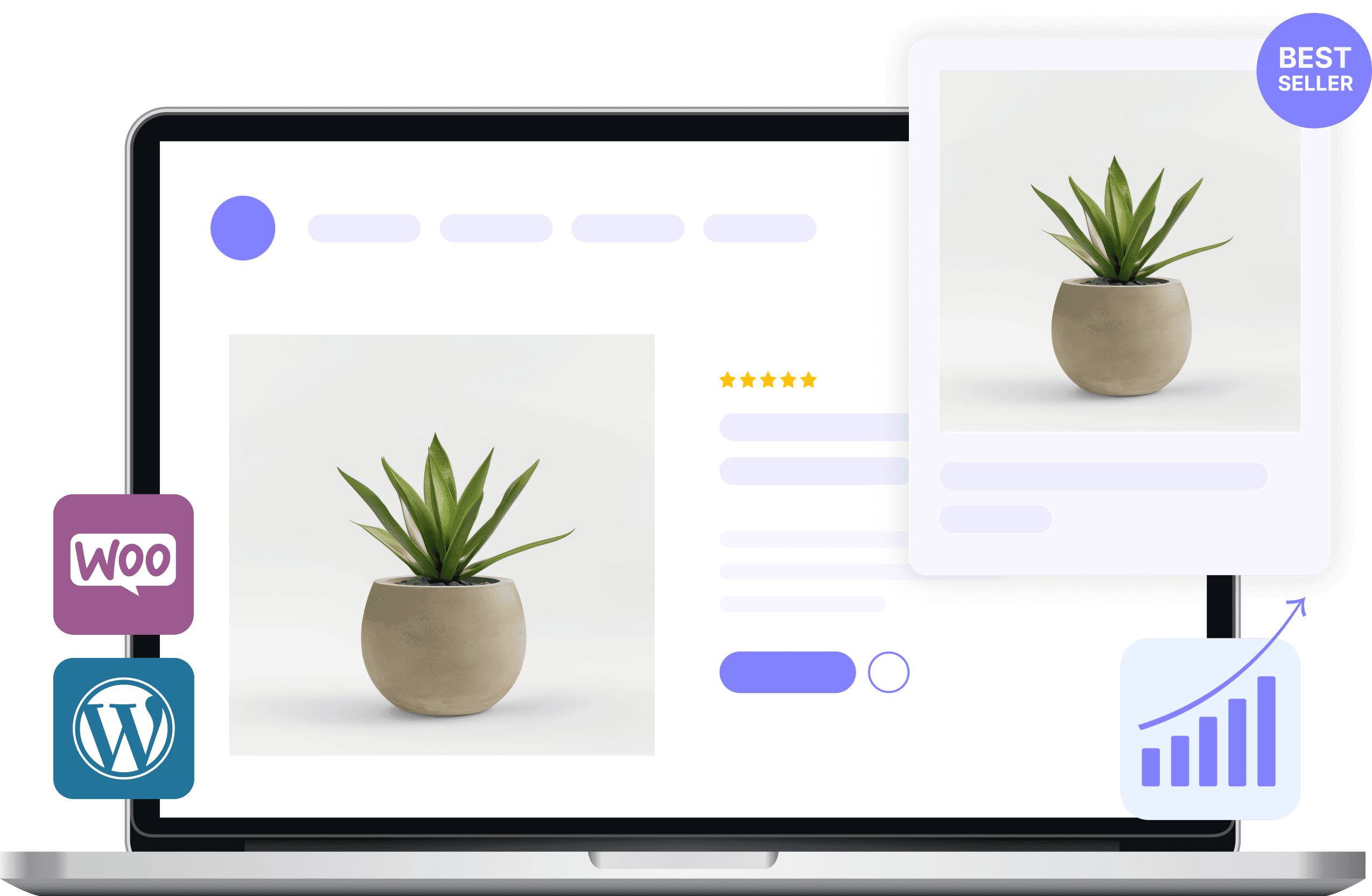 Ecommerce - Ecommerce Web Design And Branding - Ux/Ui Ecommerce branding and web design